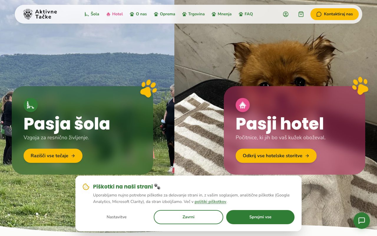 Aktivne Tačke website