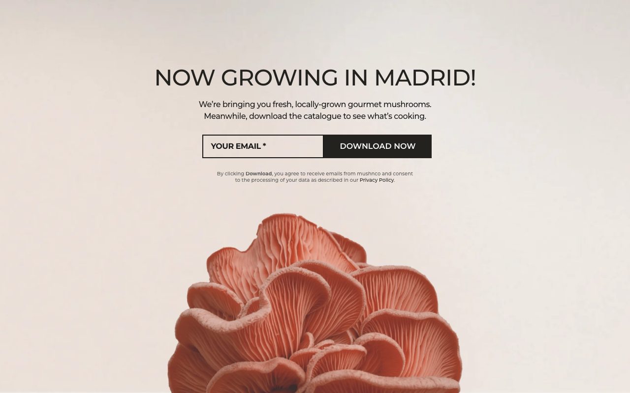 Mushnco website